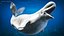 Beluga Whale Adult Rigged for Cinema 4D model