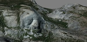 fbx realistic bunnell point -