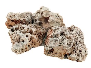 Boulders of the Coral Reef