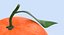 Tangerine With Leaf