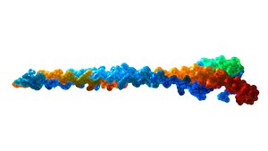 collagen triple helix 3D