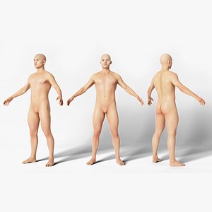 Human Basemesh 3D Model 3D