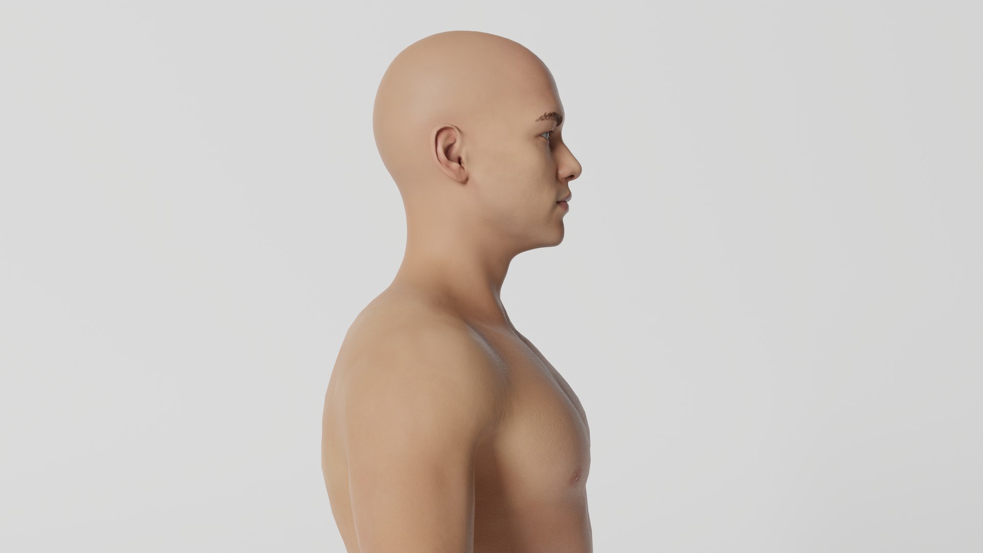 Human Basemesh 3D Model 3D - TurboSquid 2159847