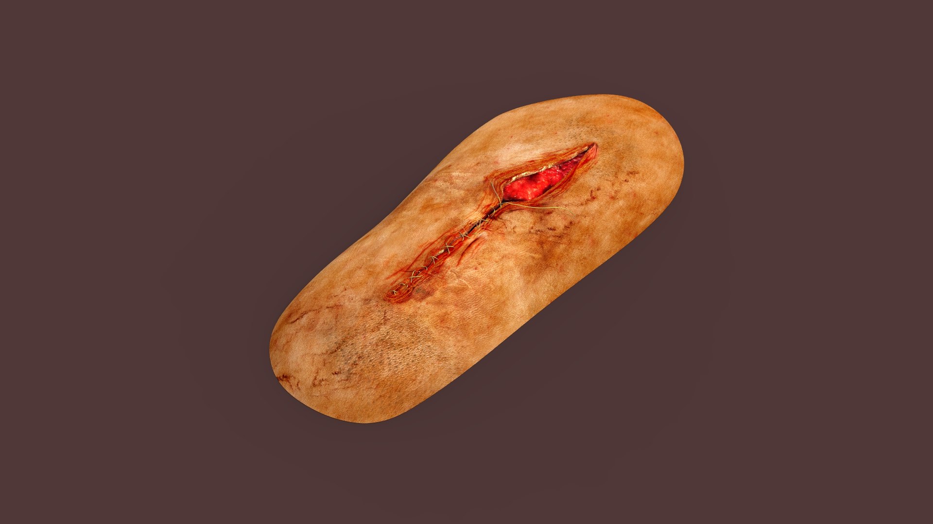 3D Fake Open Wound With Stitch TurboSquid 1793212