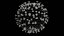 Coronavirus (COVID-19