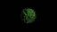 Coronavirus (COVID-19