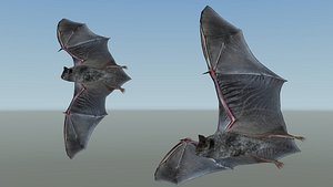 Low poly animated bat