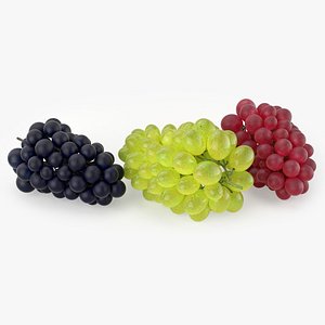 3D model grapes realistic