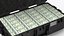 Travel Case Full of Money model