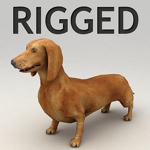 3d dachshund rigged biped