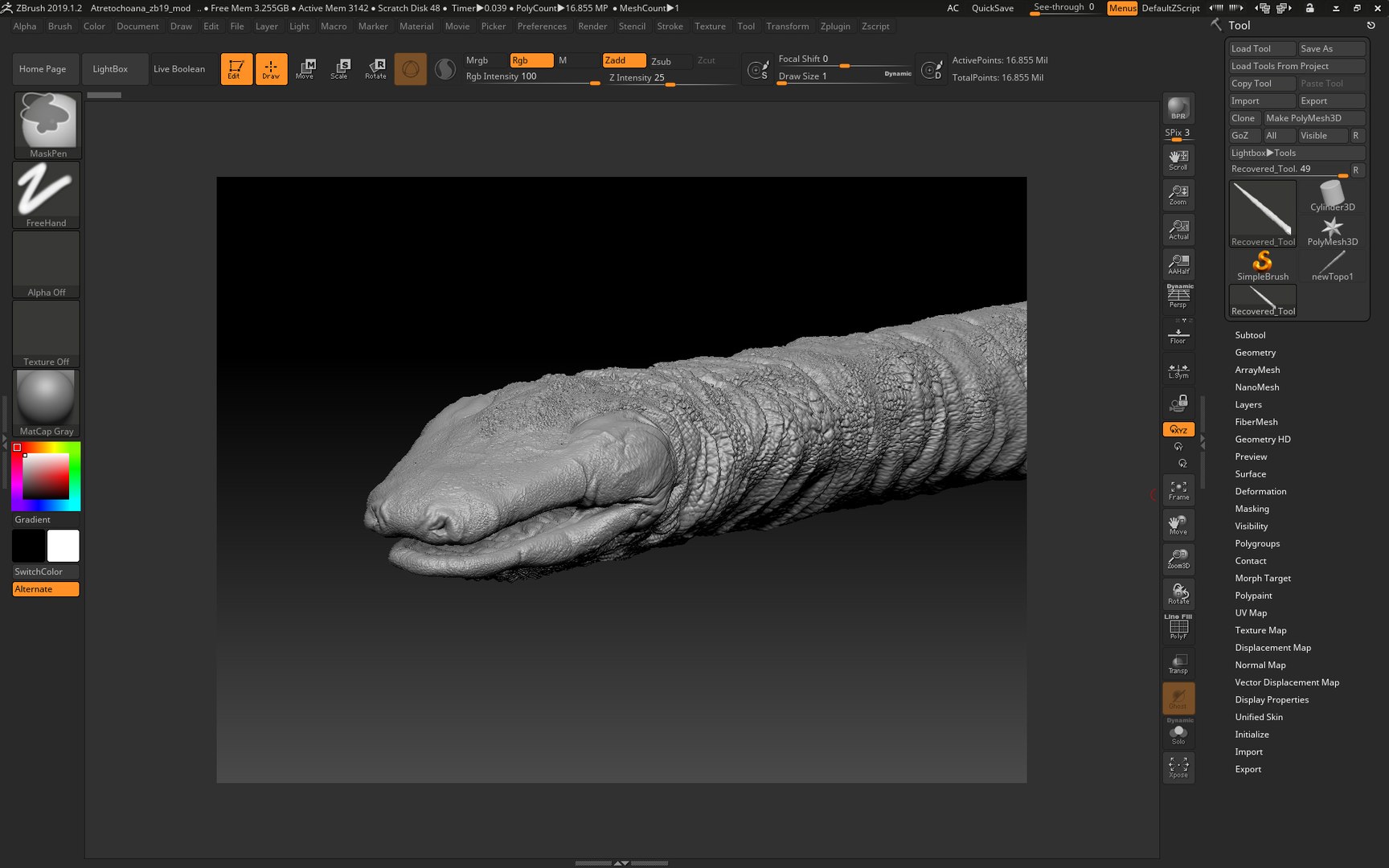 Atretochoana Eiselti Model - TurboSquid 1544116