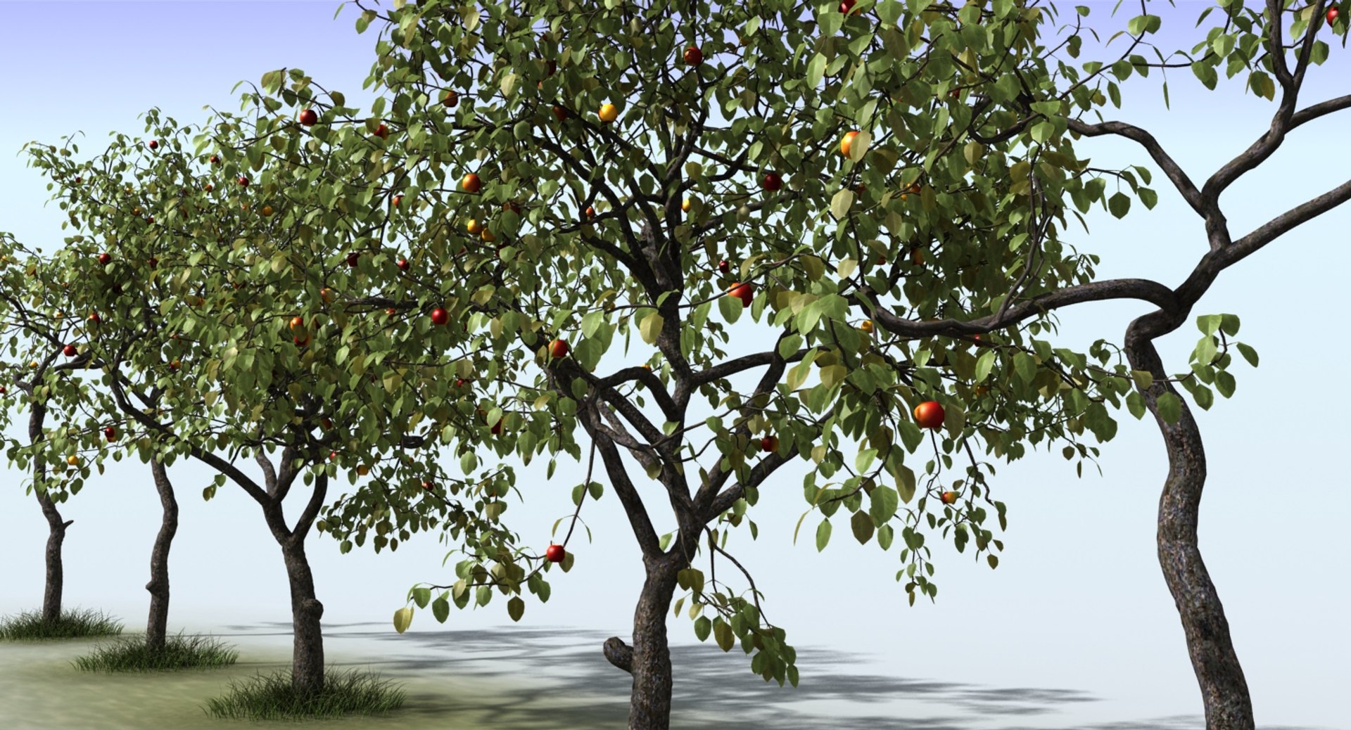 3ds max tree apple https://p.turbosquid.com/ts-thumb/C7/VEH3XY/8CuUxOZ1/apple4/jpg/1545341994/1920x1080/fit_q87/38f2829830c0b8f3520161732fc56fd78b40e512/apple4.jpg