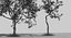 Apple Tree Set