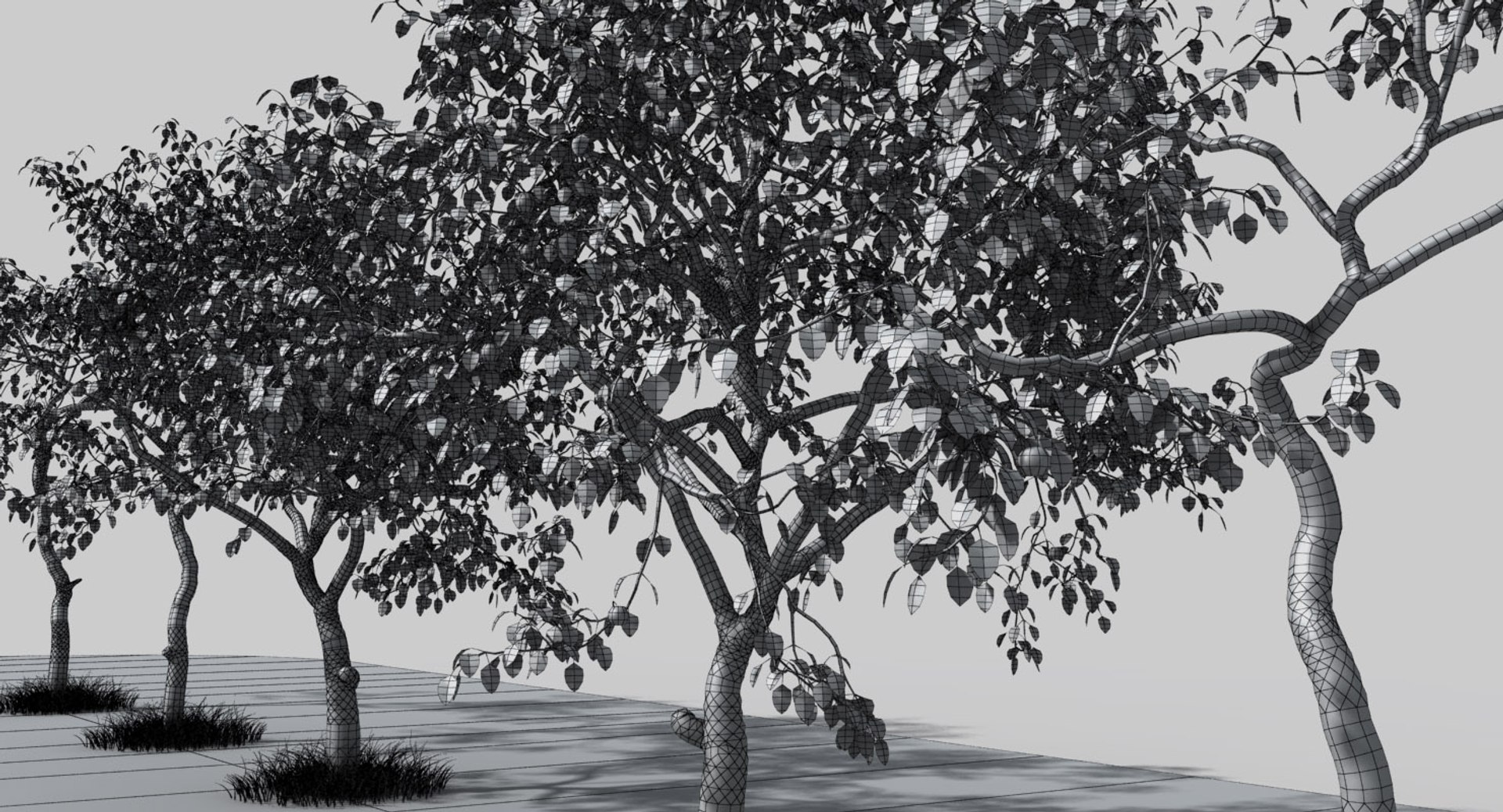 3ds max tree apple https://p.turbosquid.com/ts-thumb/C7/VEH3XY/NAERAH71/apple4w/jpg/1545341994/1920x1080/fit_q87/f678c252acb7ce8b8359fb6974be8c87761aac90/apple4w.jpg