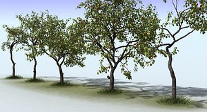 3ds max tree apple