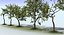 Apple Tree Set