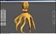 Squid / Octopus