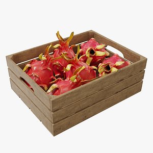 dragon fruit crates model