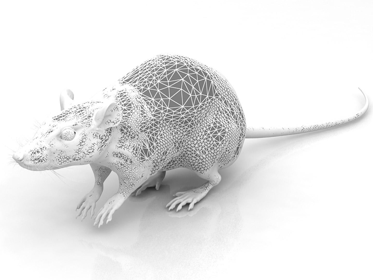 245,807 Rat Images, Stock Photos, 3D objects, & Vectors