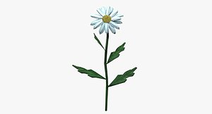 chamomile 3d model