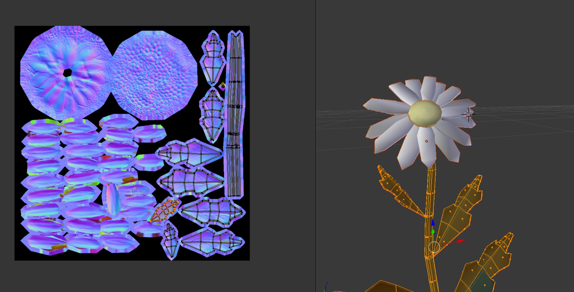 Chamomile 3d Model