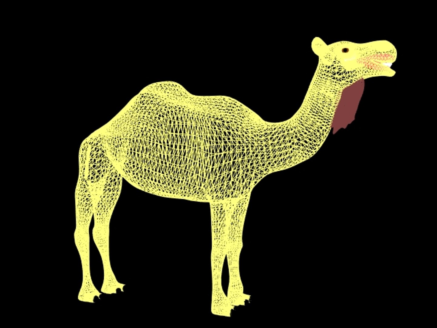 camel 3d model https://p.turbosquid.com/ts-thumb/C8/BxjhrG/IOthG27W/camel_wireframe_1/jpg/1185530502/1920x1080/fit_q87/4e67650bc6d536bf52d162923c4caed6a03d6b28/camel_wireframe_1.jpg