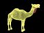 Camel.lwo