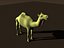 Camel.lwo