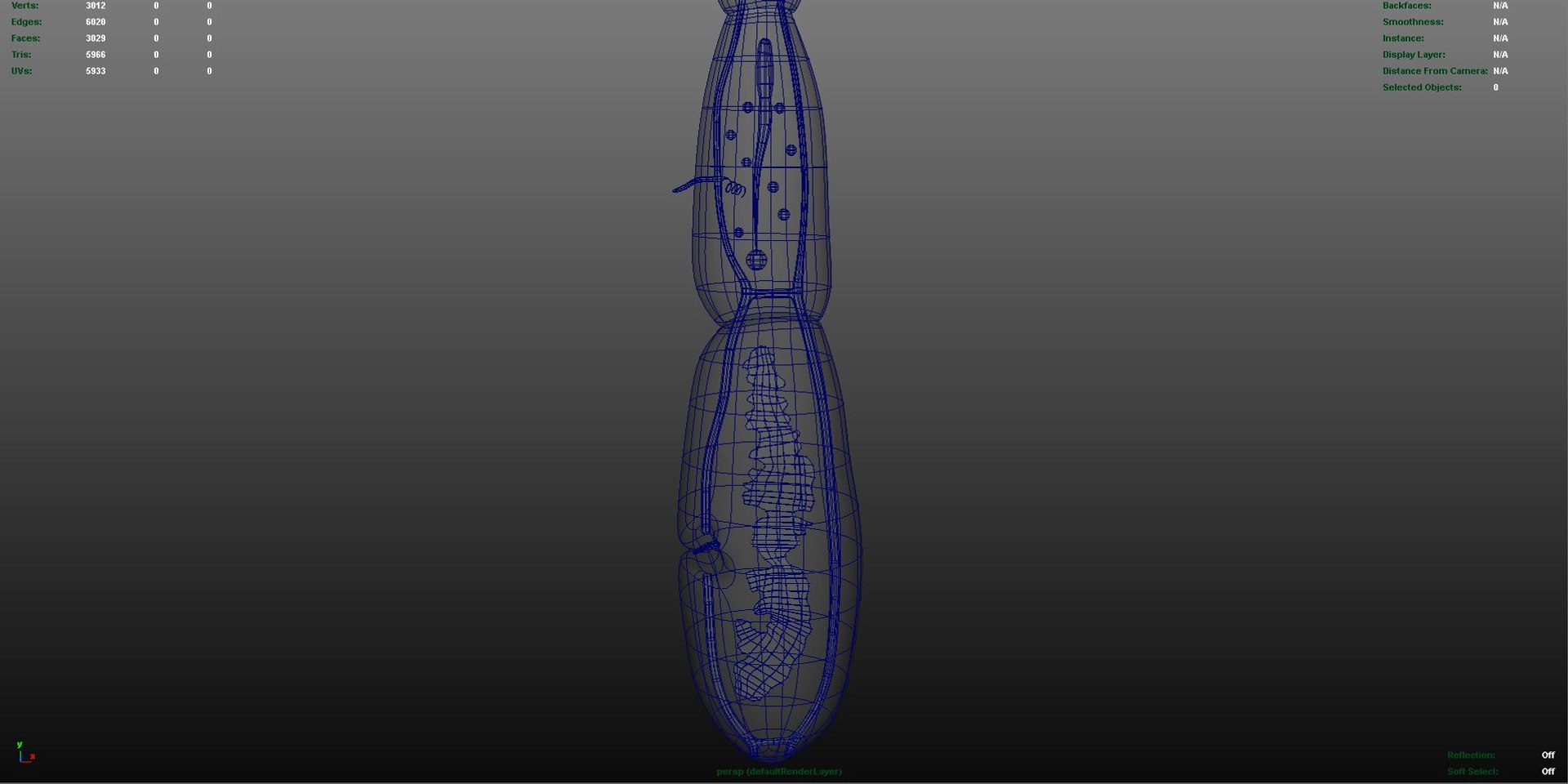 Echinococcus Granulosus 3d Model