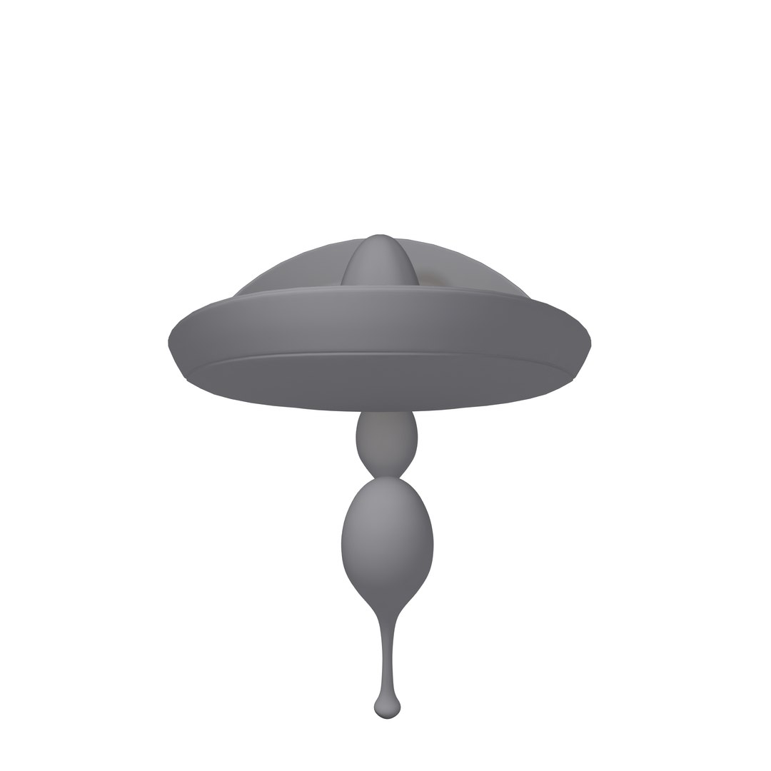 3D sombrero maracas cartoon https://p.turbosquid.com/ts-thumb/C8/HaBdil/iT/10/jpg/1611326426/1920x1080/fit_q87/411d659d6178f3472f2ab64e8261ffc6fc968854/10.jpg