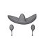 Sombrero And Maracas Cartoon