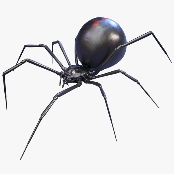 black widow spider 3d model