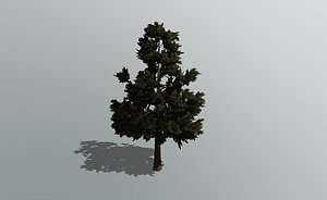 3D pine tree