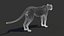 3D Cheetah