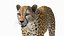 3D Cheetah