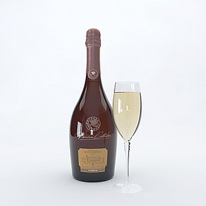 3D champagne bottle settings 2 model