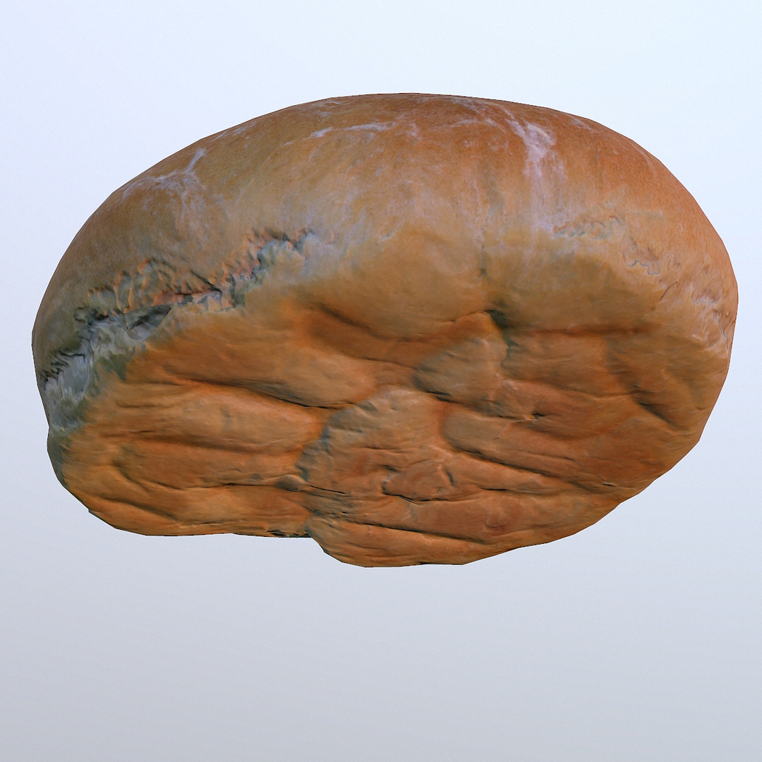 3D model bread real https://p.turbosquid.com/ts-thumb/C8/t54FQo/eYcSViGi/bread_round/jpg/1594819645/1920x1080/turn_fit_q99/bd20e0bb037265b9a5b28a6579d3ce4d8c99da31/bread_round-1.jpg