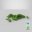 Okra Pile 02