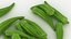 Okra Pile 02