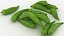 Okra Pile 02
