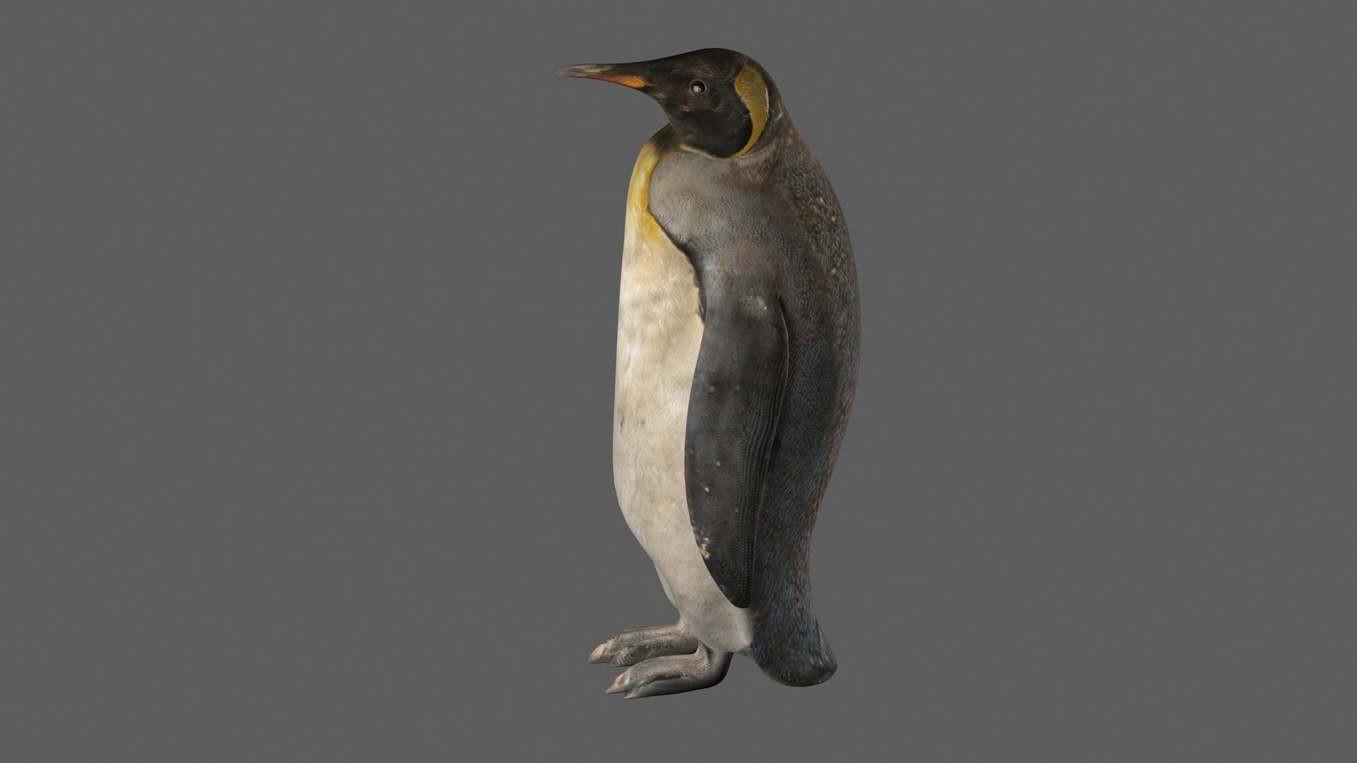 STL file Emperor penguin・3D print model to download・Cults