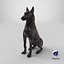 3D model Dutch Shepherd Dog Sitting