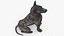 3D model Dutch Shepherd Dog Sitting