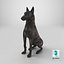 3D model Dutch Shepherd Dog Sitting