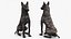 3D model Dutch Shepherd Dog Sitting