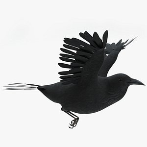 Raven Animated