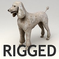 Poodle Rigged