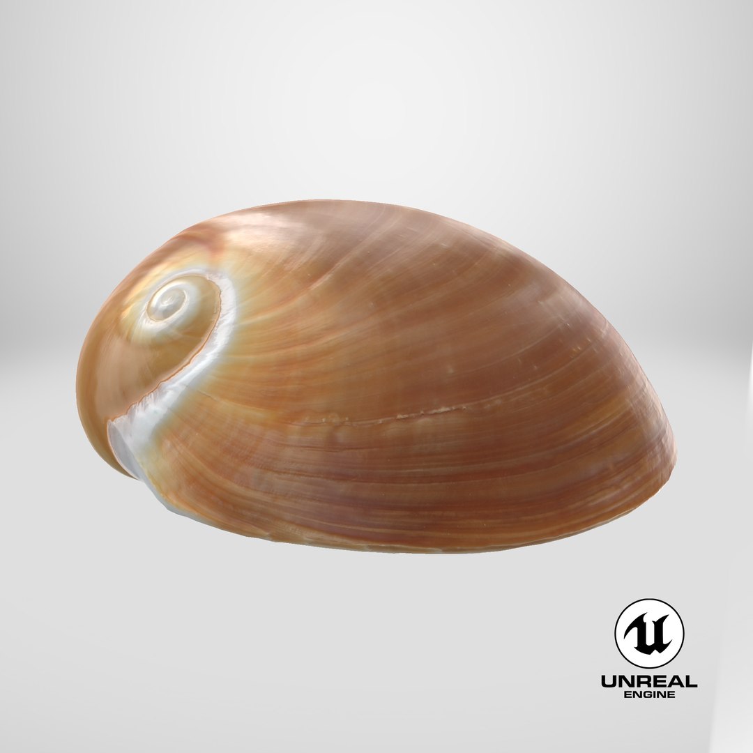Neverita Albumen 3D https://p.turbosquid.com/ts-thumb/C9/HltudG/2j/stemcell_unreal_render/png/1711383366/1920x1080/fit_q87/1e713f81b55eabf924895ff808a353c6396b54b8/stemcell_unreal_render.jpg