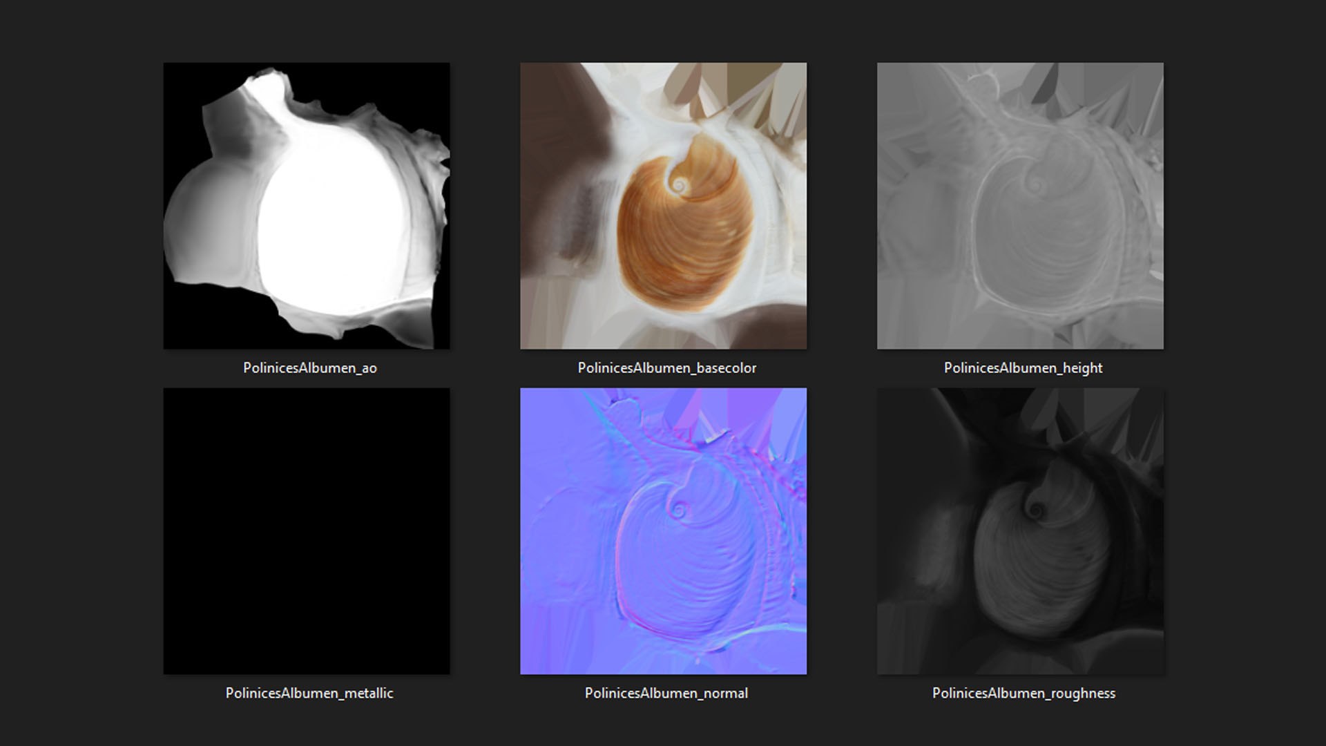 Neverita Albumen 3D https://p.turbosquid.com/ts-thumb/C9/HltudG/5W/polinicesalbumen_d0005/jpg/1711217616/1920x1080/fit_q87/e0baaaa3df9df2add06c39b2a990529f3a3c8c5b/polinicesalbumen_d0005.jpg