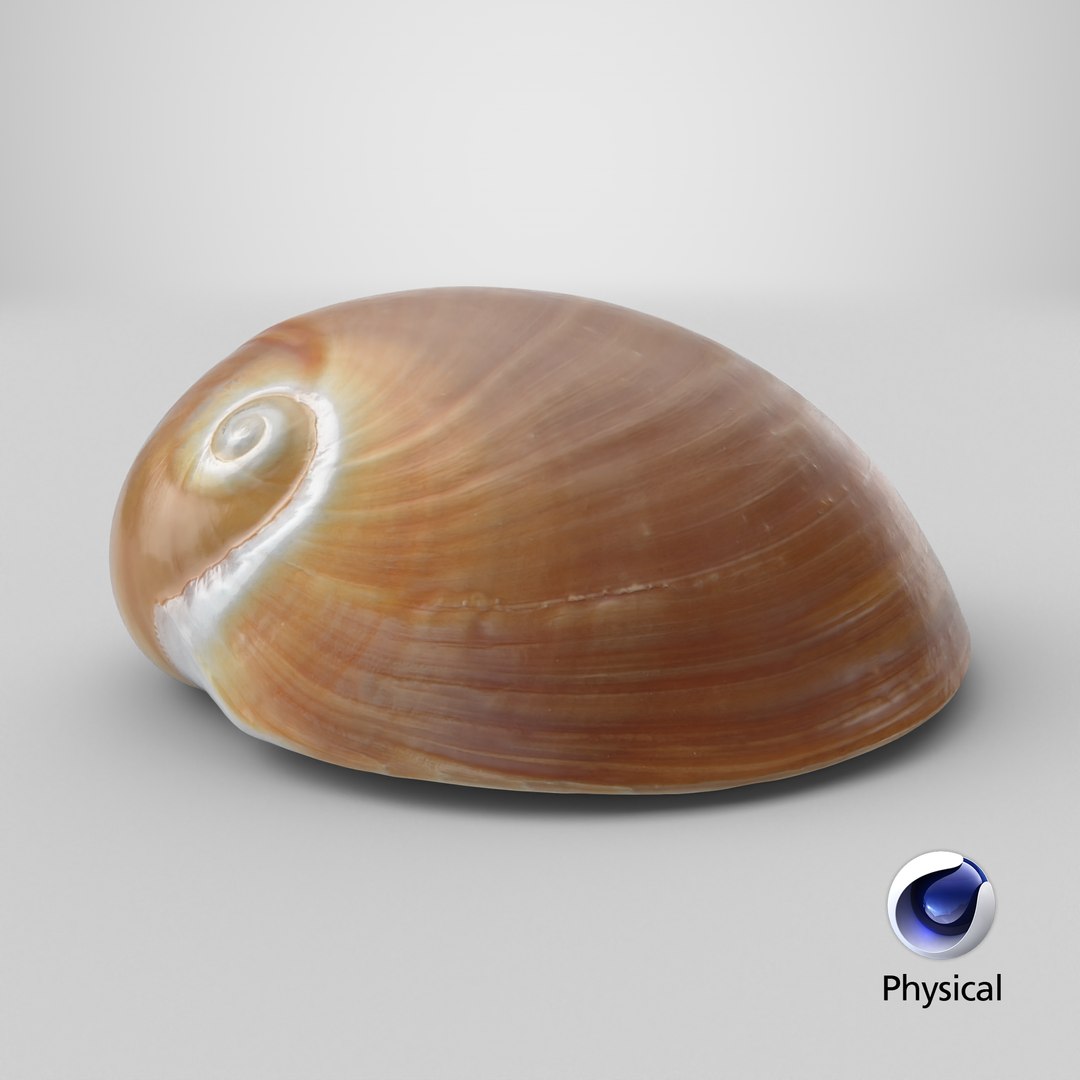 Neverita Albumen 3D https://p.turbosquid.com/ts-thumb/C9/HltudG/RE/stemcell_cinema_4d_physical_render/png/1711383360/1920x1080/fit_q87/aae0a3b3cbba861a3c3de406e2e7126fb1287f7f/stemcell_cinema_4d_physical_render.jpg